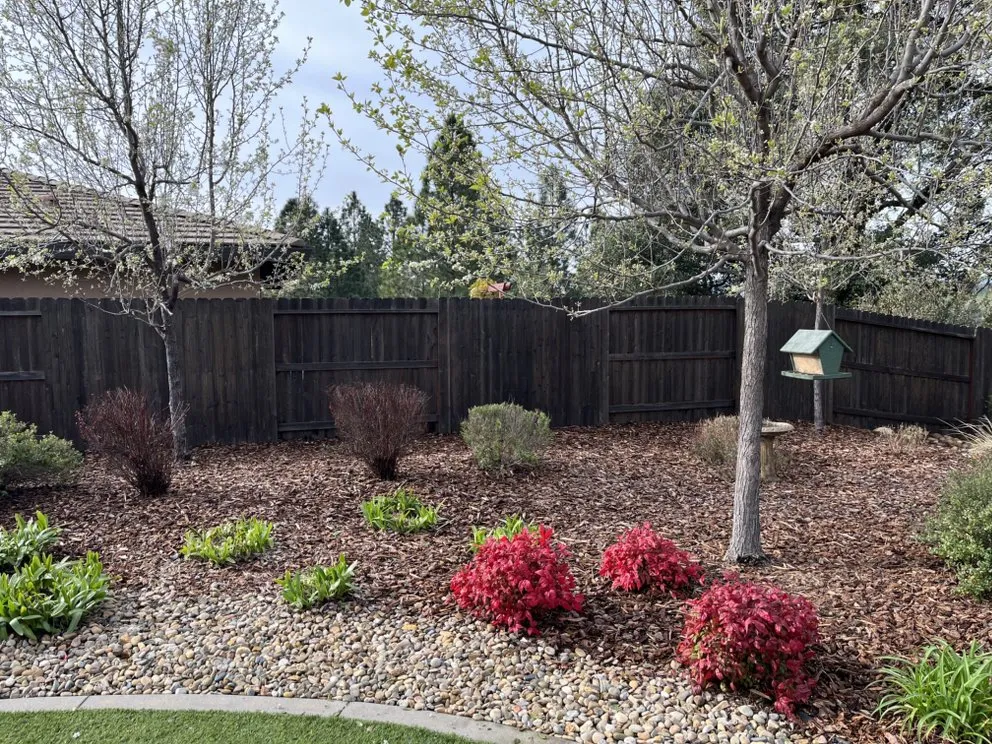 Top-rated yard cleanup service experts serving Lodi, CA - DeShields Landscape Management