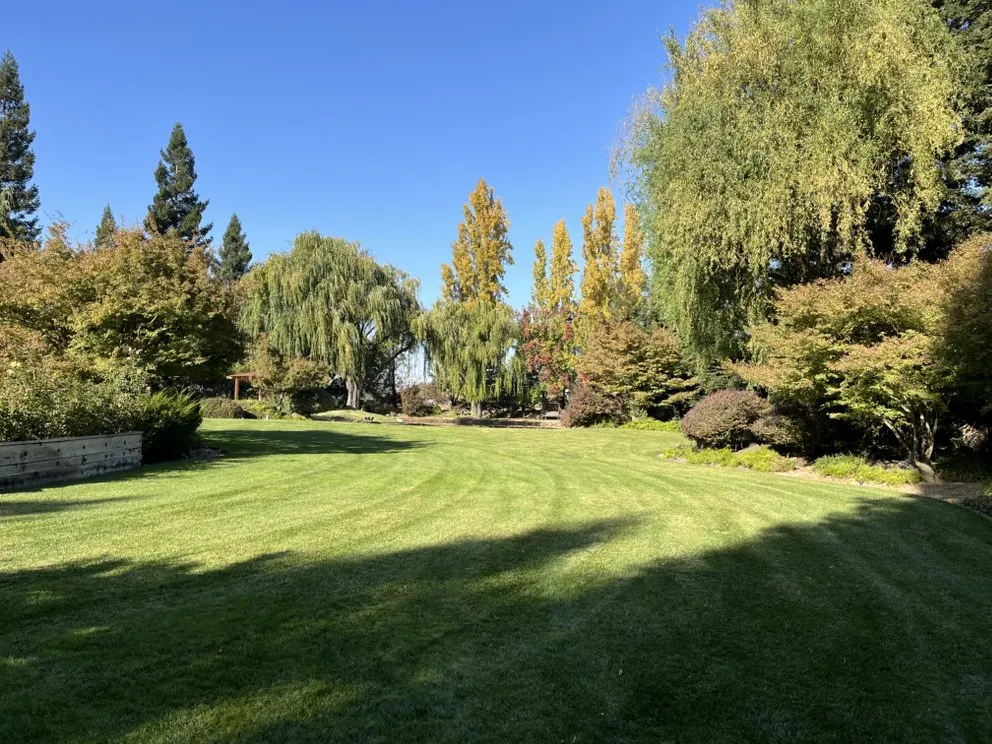 Trusted garden landscaping near you across Lodi, CA - DeShields Landscape Management