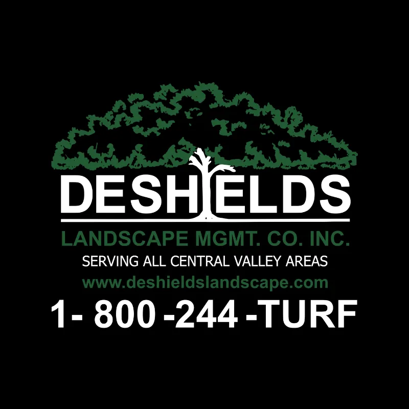 Reliable yard maintenance in Lodi, CA by DeShields Landscape Management