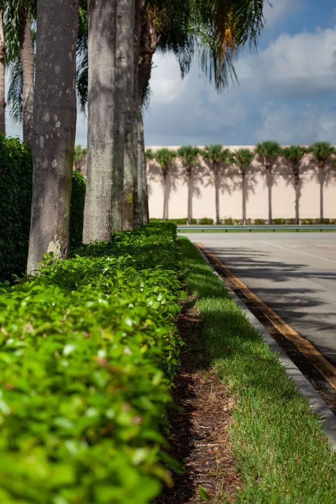 Affordable yard cleanup service in Davie, FL by Design & Cut Landscape Services