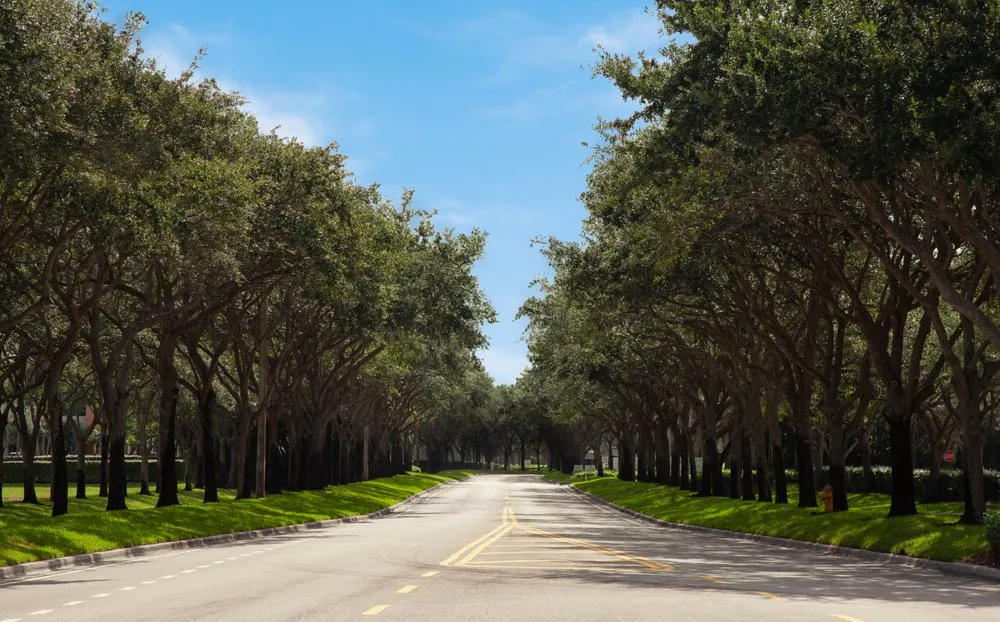 Reliable lawn mowing service experts serving Davie, FL - Design & Cut Landscape Services