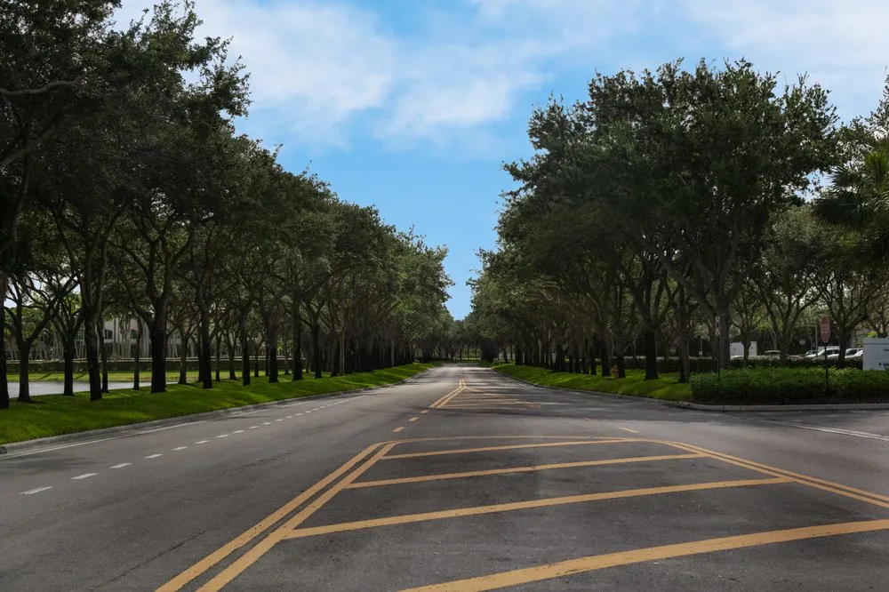 Affordable lawn mowing service for residential properties in Davie, FL by Design & Cut Landscape Services