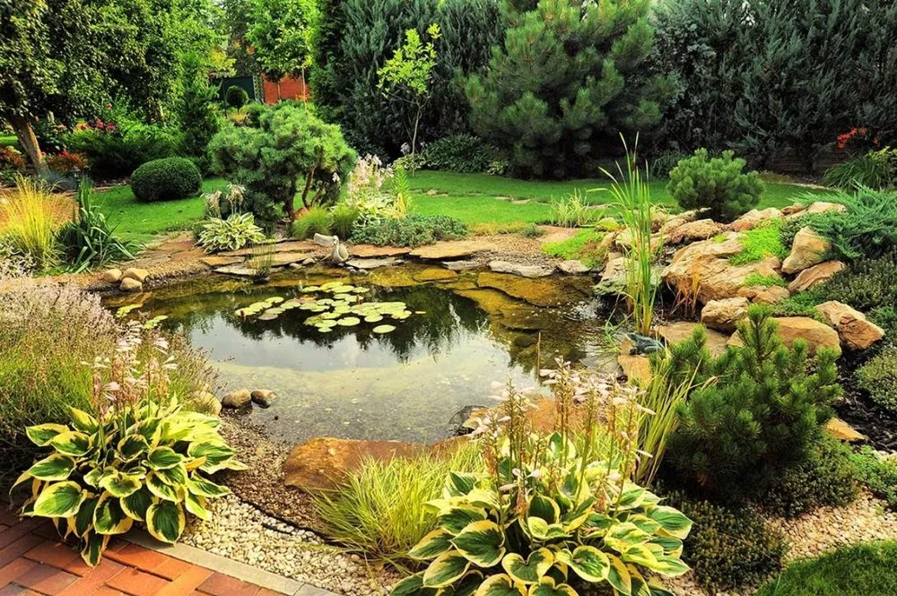 Local landscape design for beautiful yards in Edgartown, MA by Design And Counselin