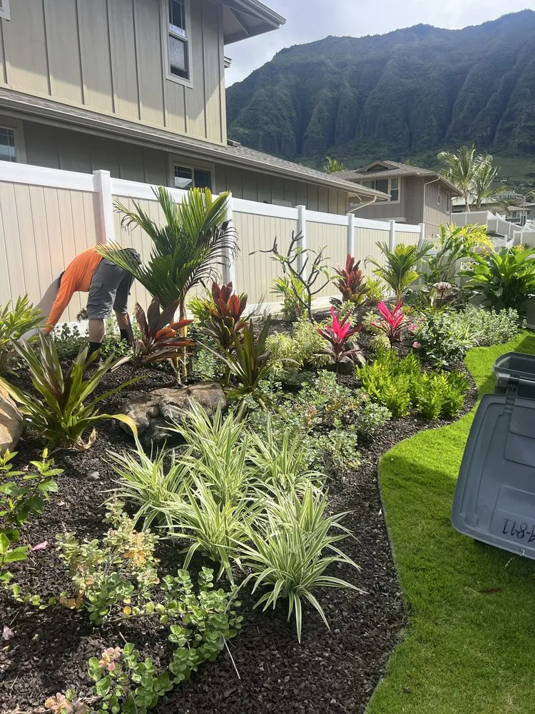 Reliable yard cleanup service in Kapolei, HI by Design Build Landscape