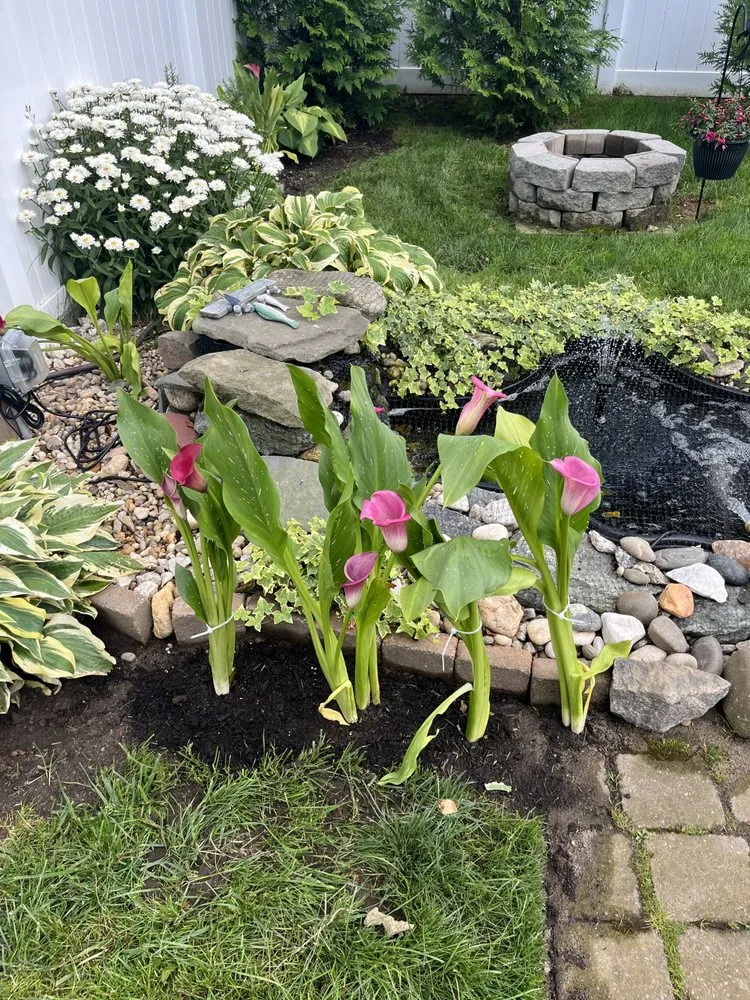 Expert yard maintenance in Brookhaven, NY by Design by De Vellis