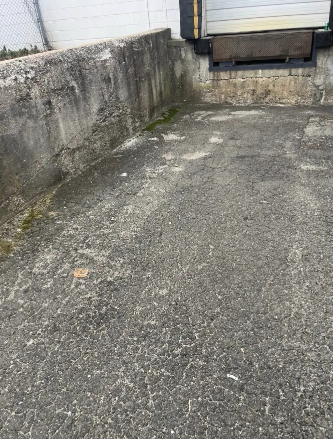 Custom landscape design for year-round maintenance across Brookhaven, NY - Design by De Vellis