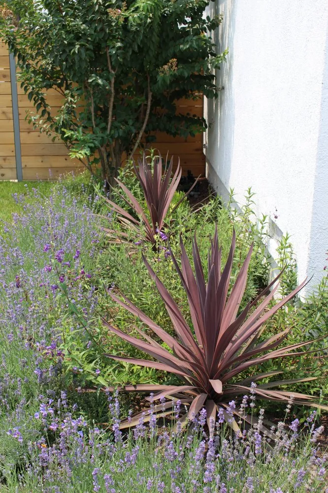 Custom lawn mowing service near you in Los Angeles, CA by Design by Nature Studio