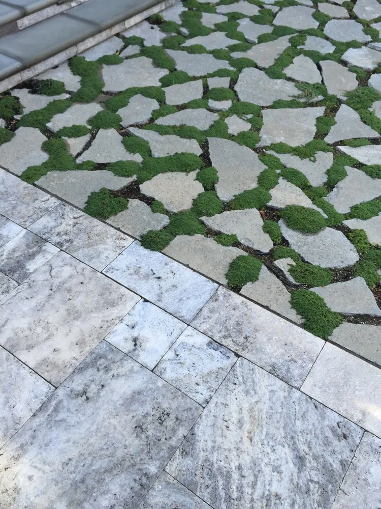 Top-rated landscaping services for year-round maintenance in Los Angeles, CA by Design by Nature Studio