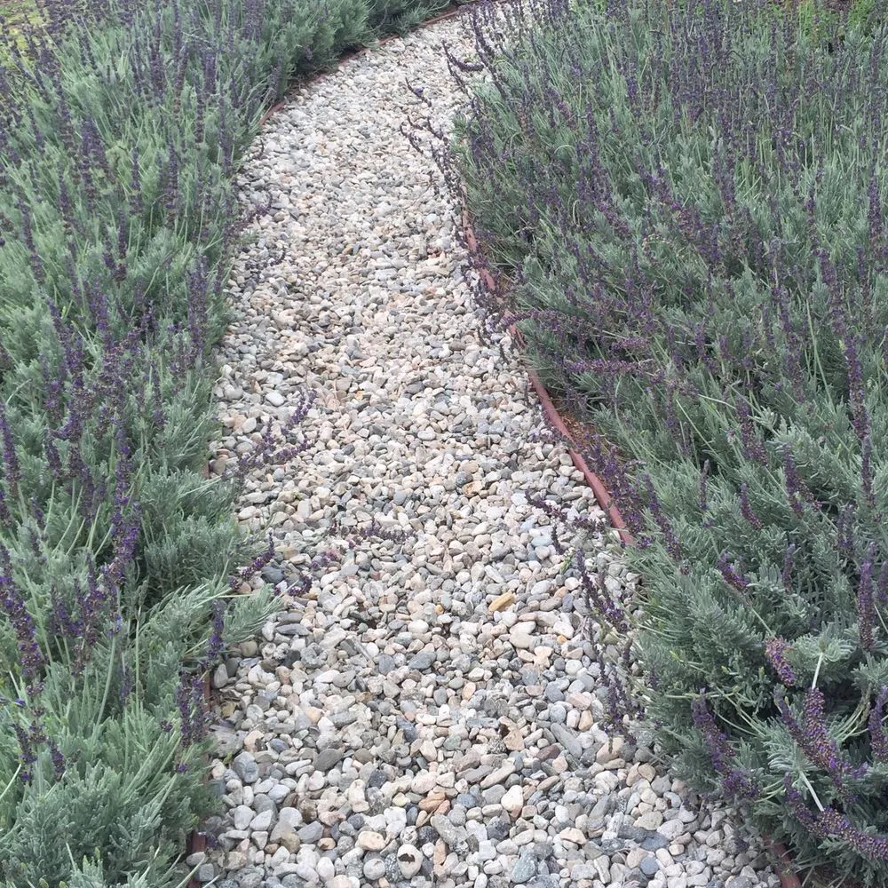 Affordable outdoor landscaping in Los Angeles, CA - Design by Nature Studio