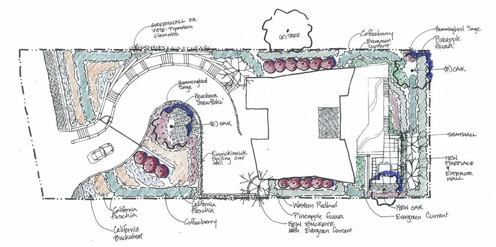 Custom yard cleanup service in Los Angeles, CA - Design by Nature Studio
