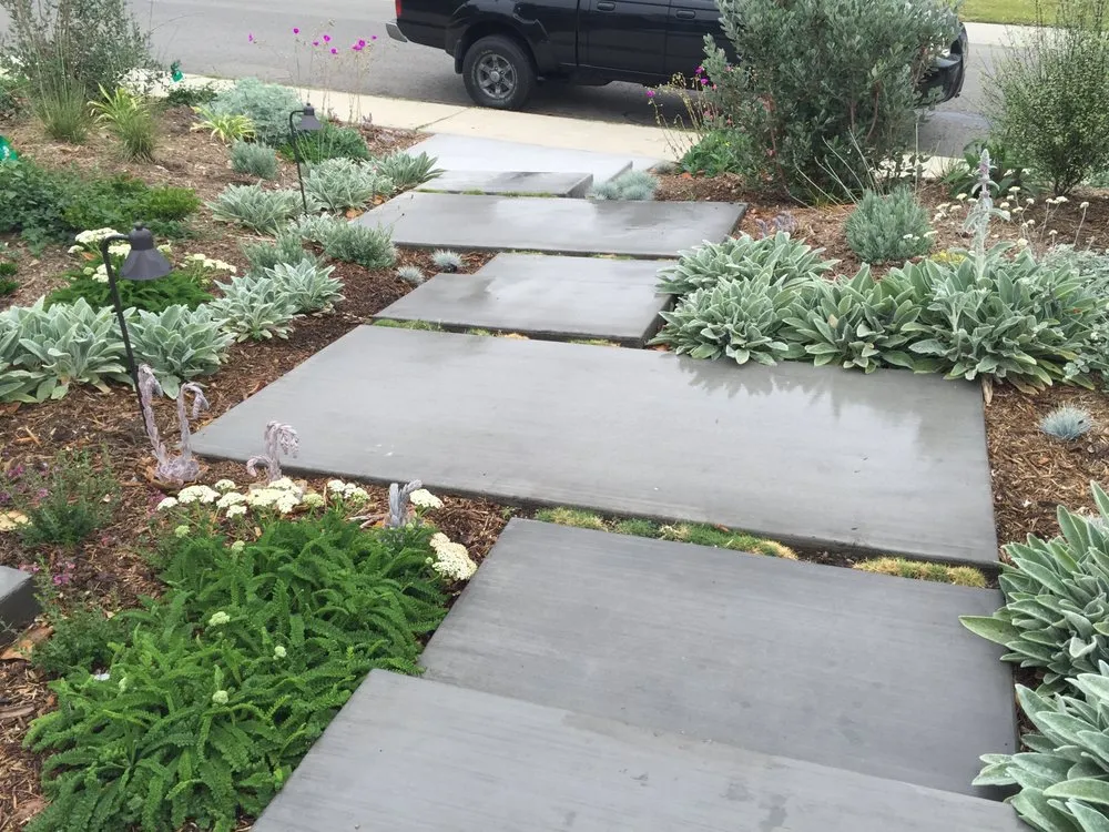 Professional garden landscaping near you in Los Angeles, CA by Design by Nature Studio