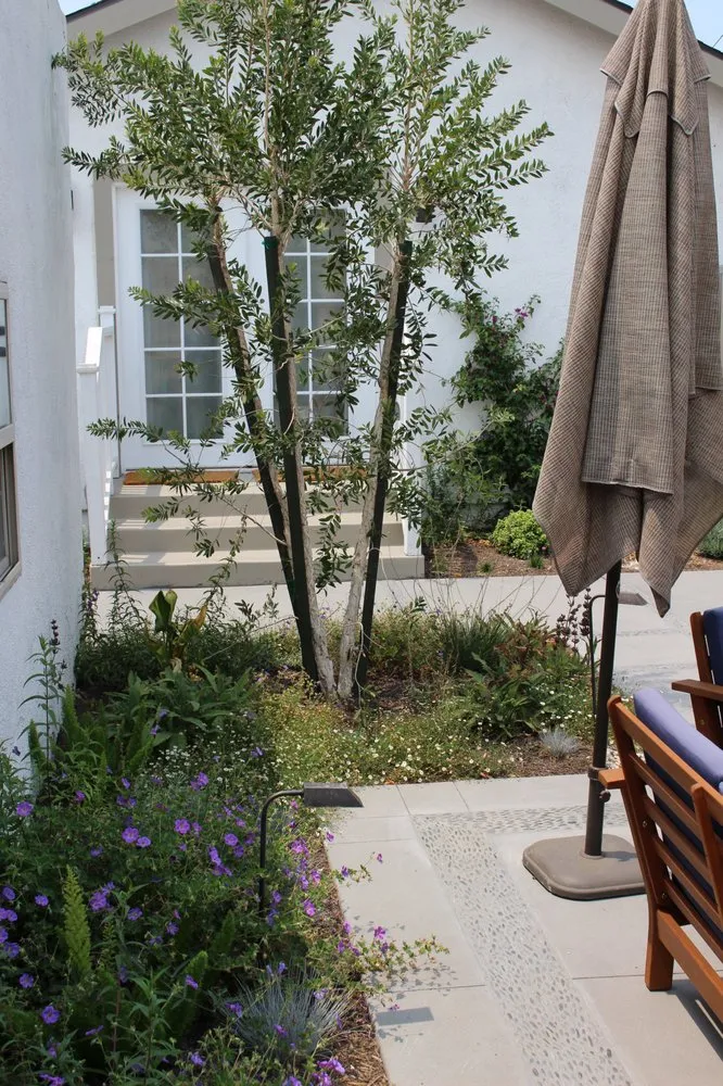 Trusted lawn care service in Los Angeles, CA - Design by Nature Studio