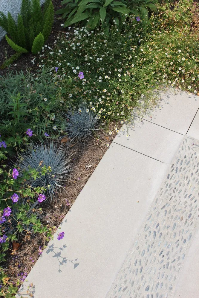 Reliable landscape design in Los Angeles, CA - Design by Nature Studio