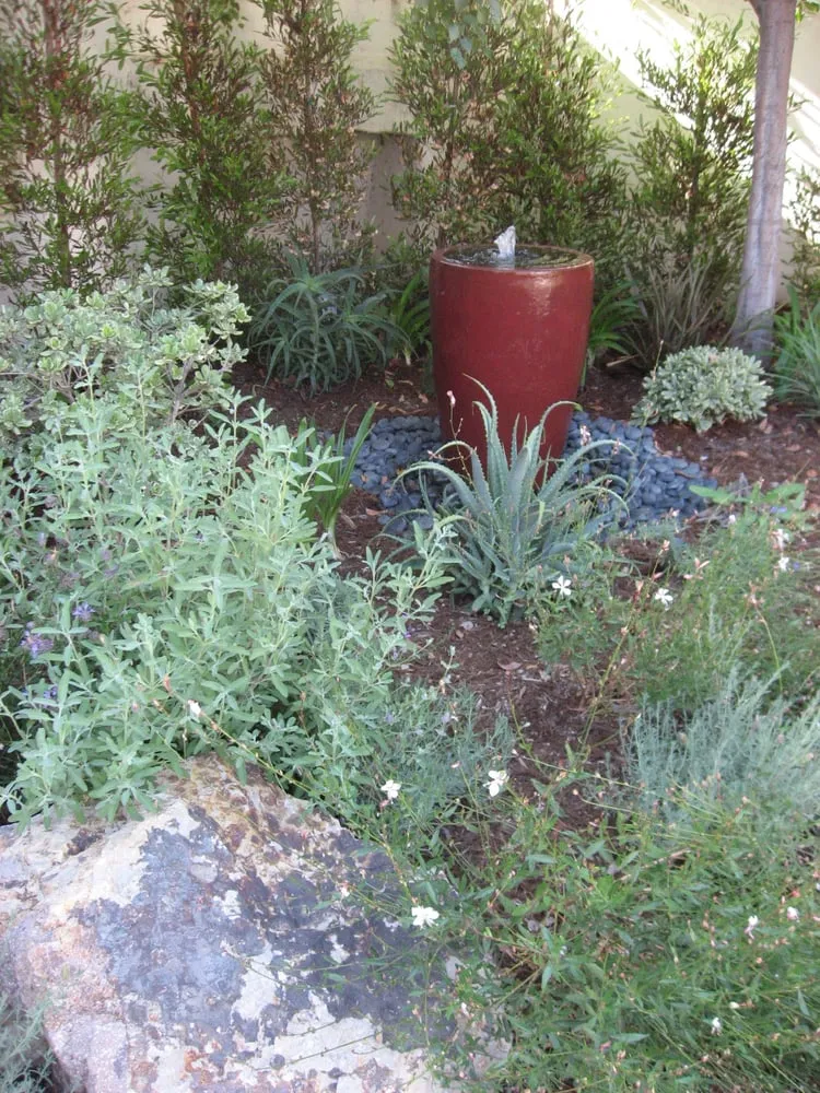 Professional garden landscaping with custom design across Los Angeles, CA - Design by Nature Studio