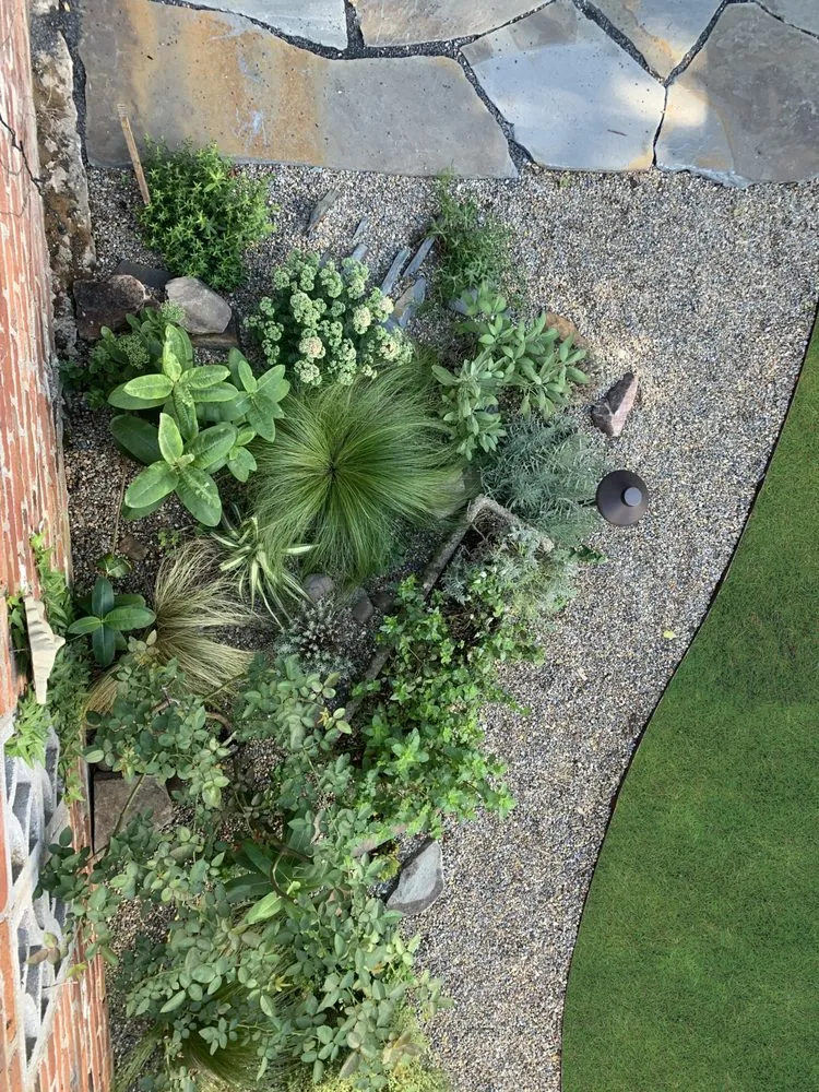 Professional lawn care service experts serving Kerhonkson, NY - Design by Plants