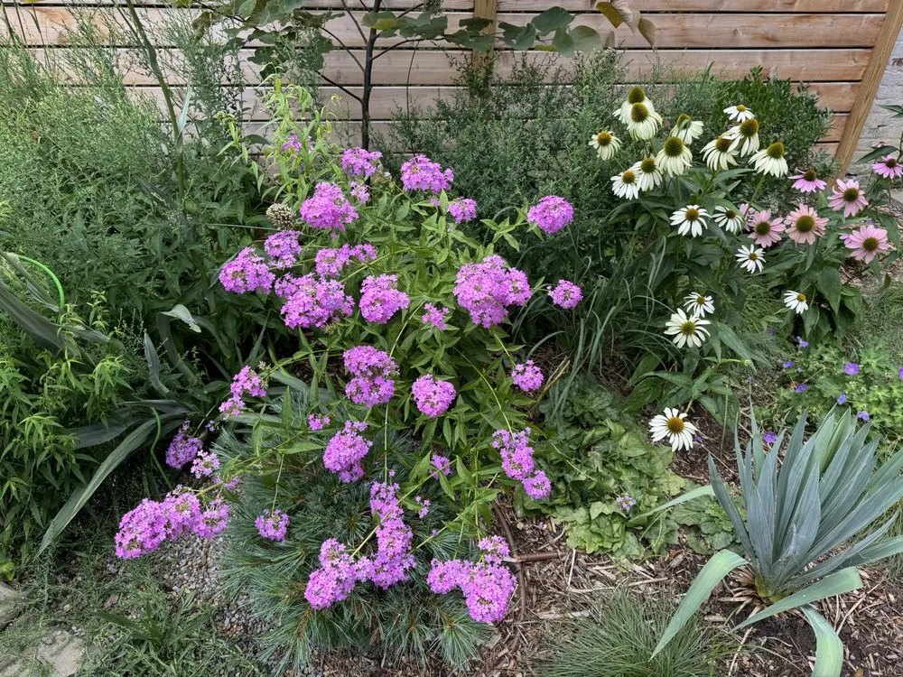 Affordable residential landscaping for residential properties across Kerhonkson, NY - Design by Plants