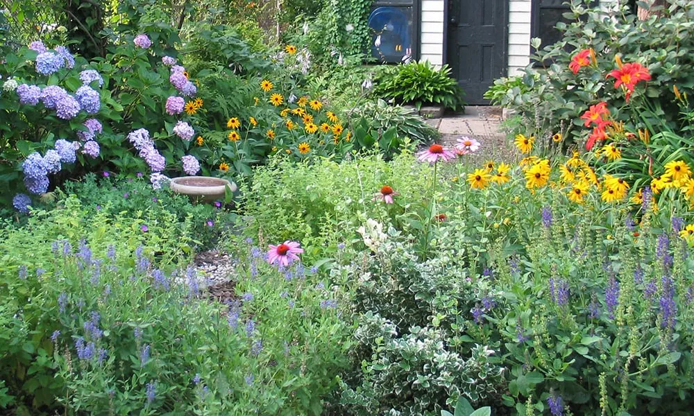 Reliable landscape design experts serving Kerhonkson, NY - Design by Plants