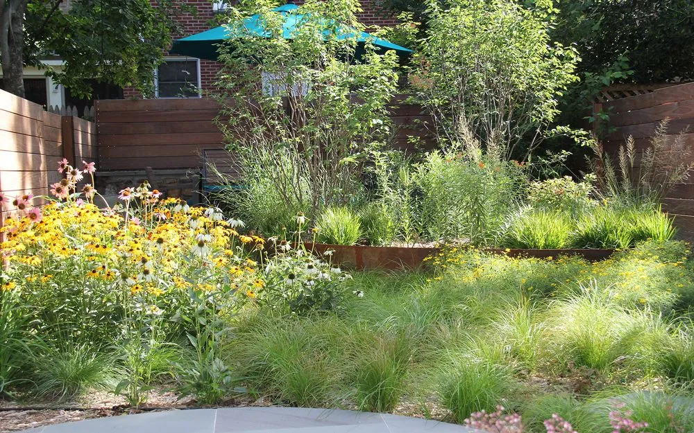 Professional yard cleanup service experts serving Kerhonkson, NY - Design by Plants