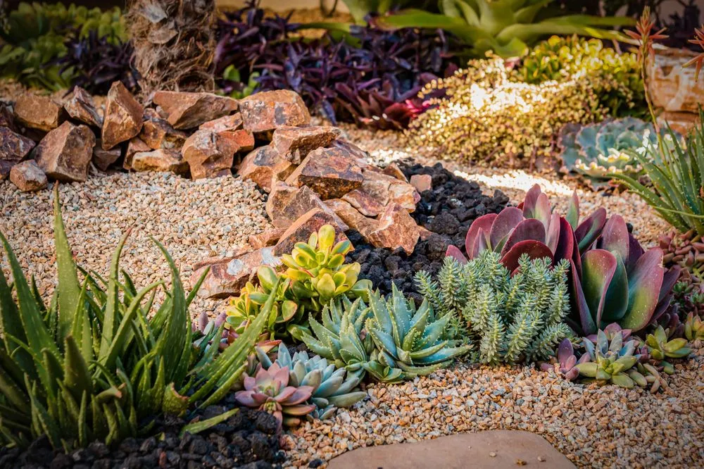 Professional landscape design for beautiful yards in Chula Vista, CA by Design For Serenity