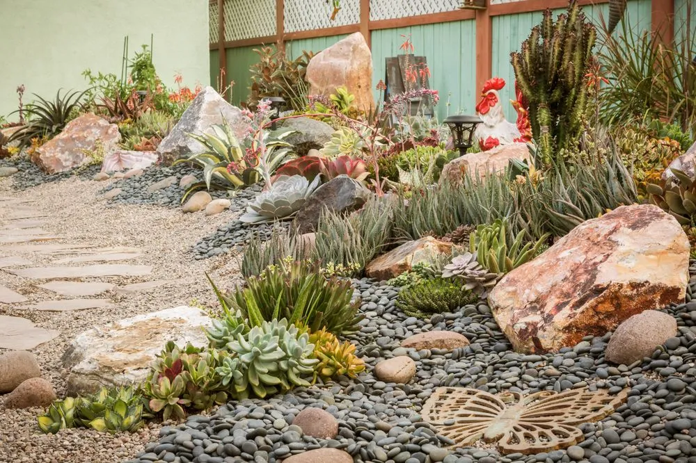 Affordable yard cleanup service experts serving Chula Vista, CA - Design For Serenity