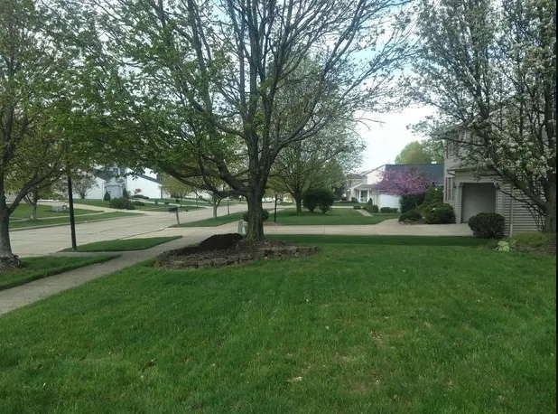 Custom landscape installation in Shaker Heights, OH - Design IZ Minz Landscape & Demolition