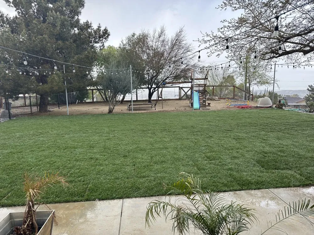 Local yard cleanup service in Los Angeles, CA by Design landscaping