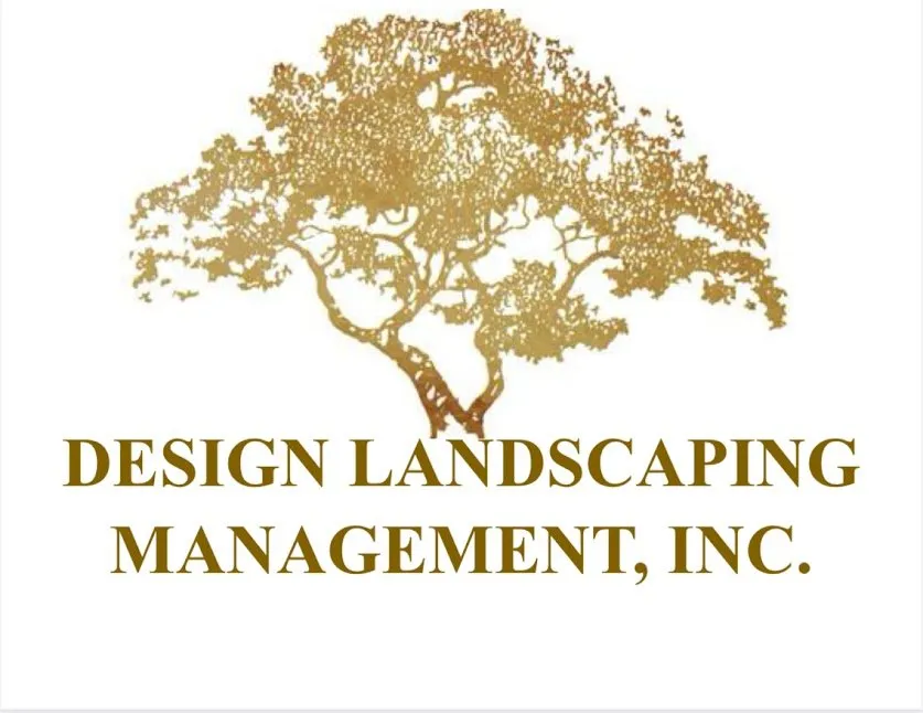 Trusted landscaping services experts serving New Port Richey, FL - Design Landscaping Management