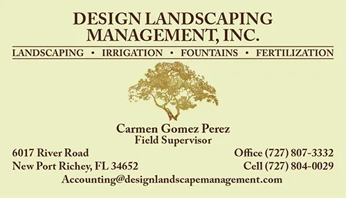 Expert landscaping services for year-round maintenance across New Port Richey, FL - Design Landscaping Management