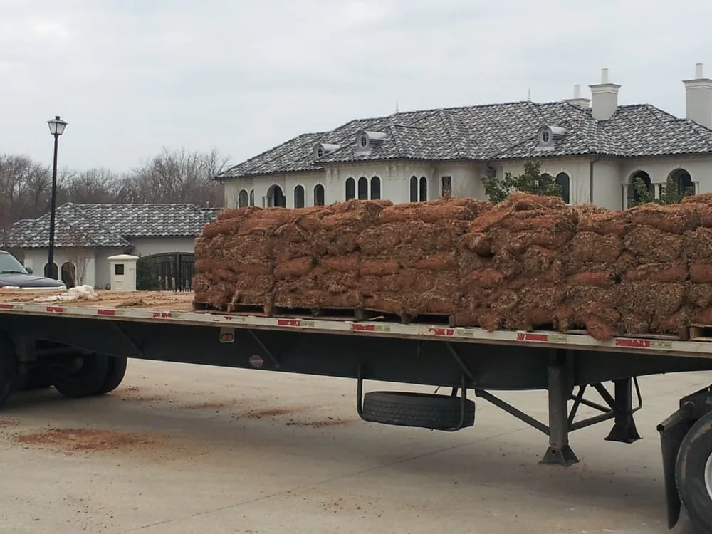 Reliable yard maintenance in Rockwall, TX - Design Masters Landscaping