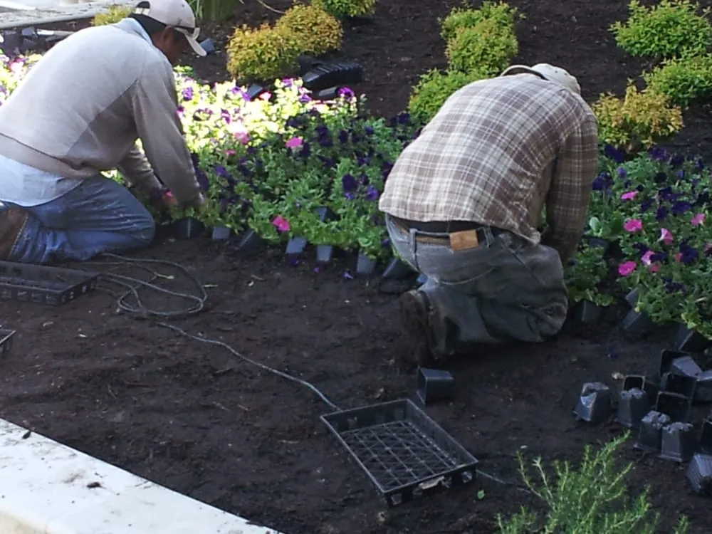 Reliable landscaping services for beautiful yards across Rockwall, TX - Design Masters Landscaping