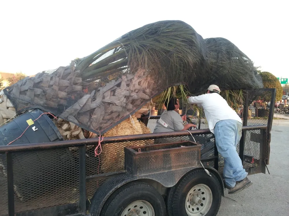 Local landscaping services experts serving Rockwall, TX - Design Masters Landscaping