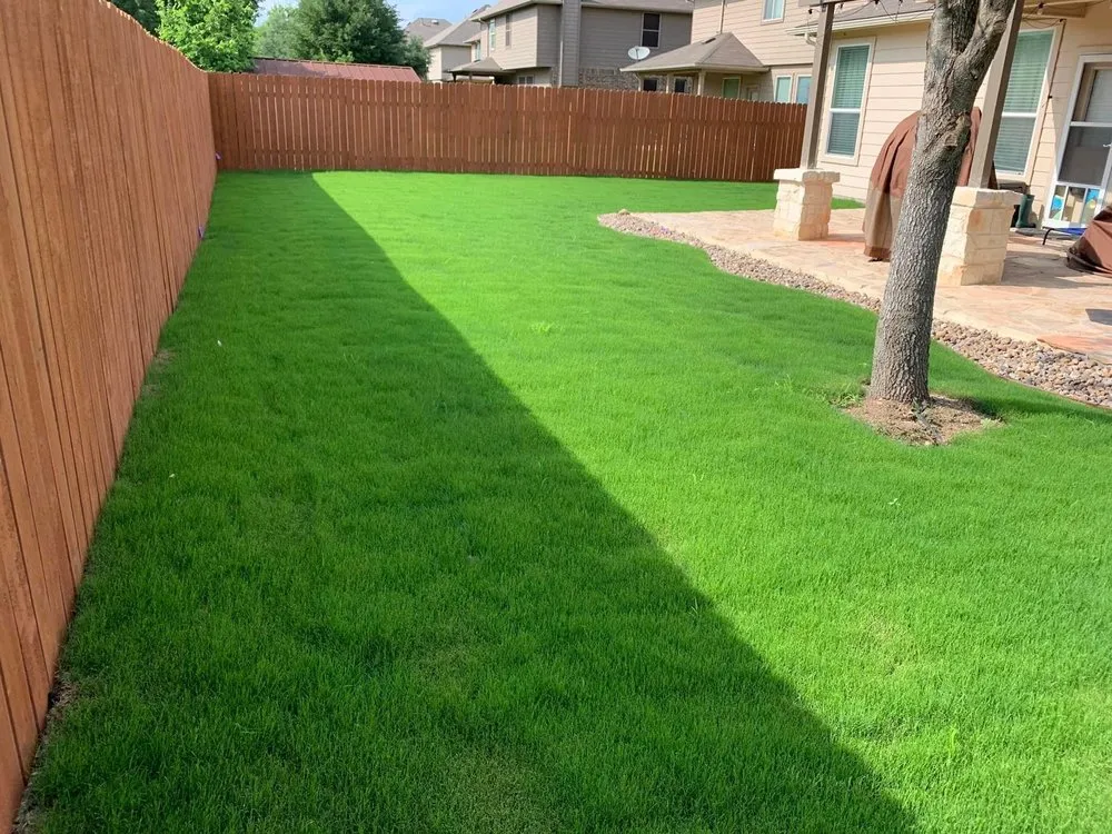 Expert lawn mowing service for year-round maintenance across Selma, TX - Design Matters & Lawn Care