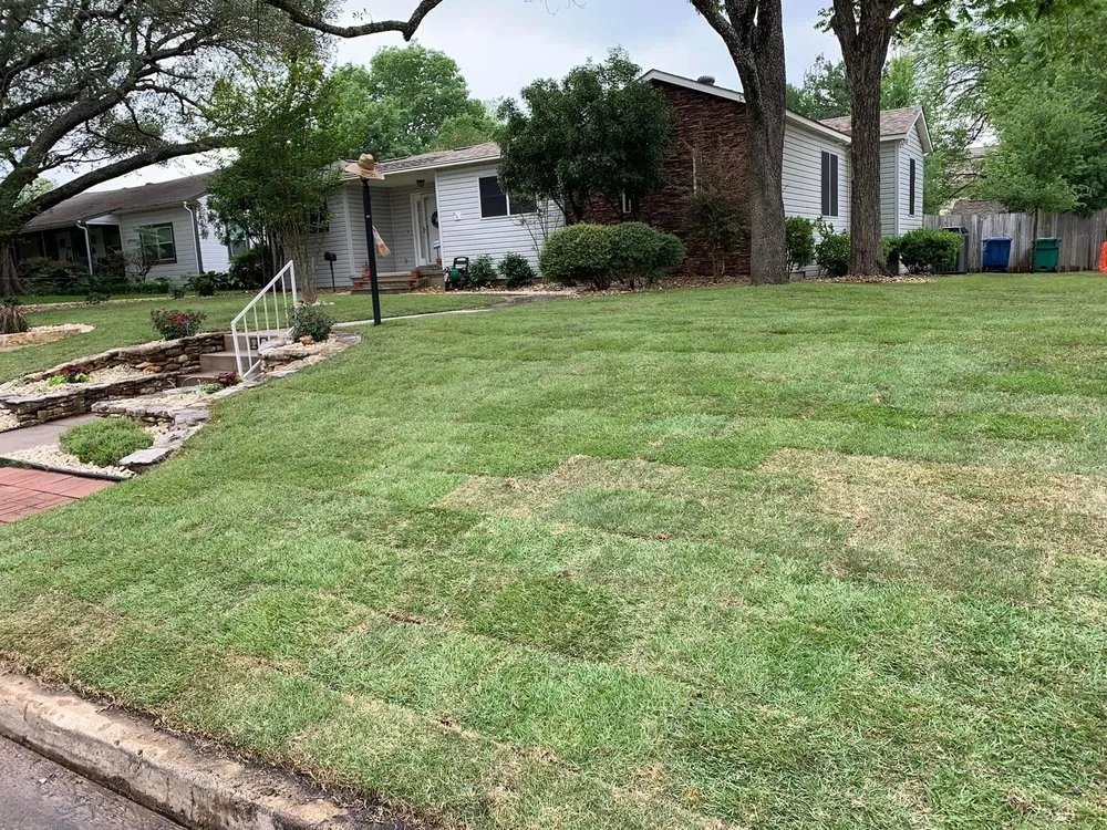 Affordable landscape design in Selma, TX by Design Matters & Lawn Care
