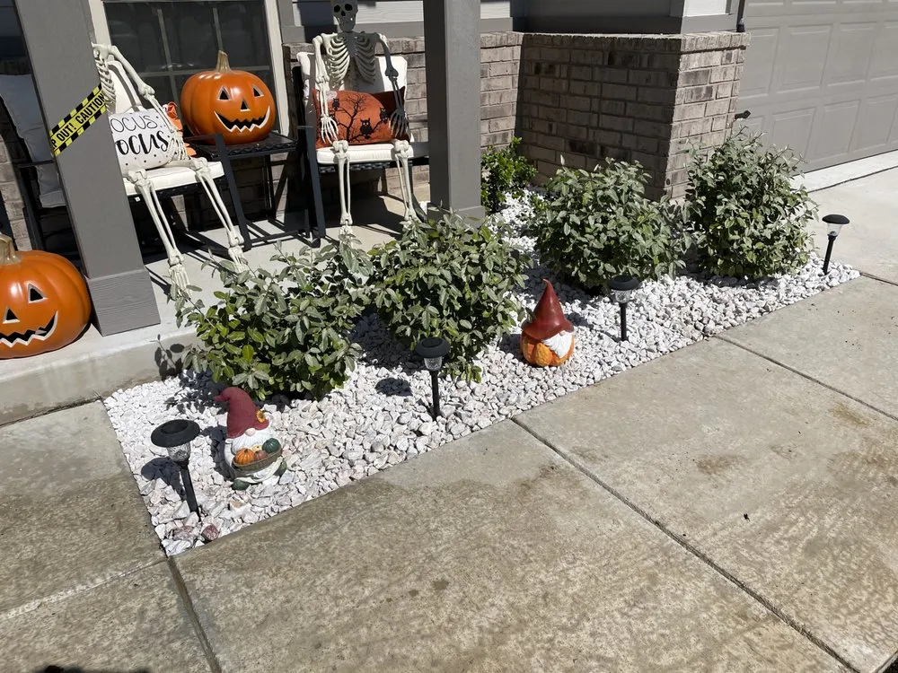 Trusted landscaping services for homes across Selma, TX - Design Matters & Lawn Care