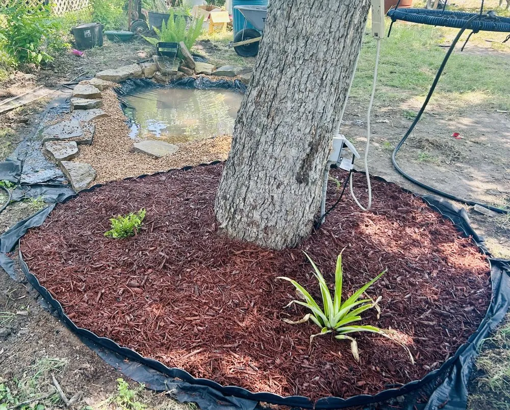 Custom landscape installation in San Antonio, TX by Design Matters & Lawn Creations