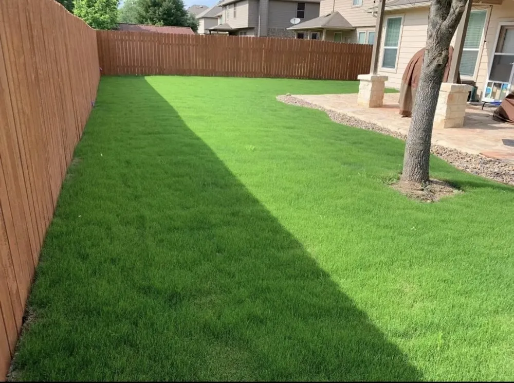 Professional outdoor landscaping experts serving San Antonio, TX - Design Matters & Lawn Creations