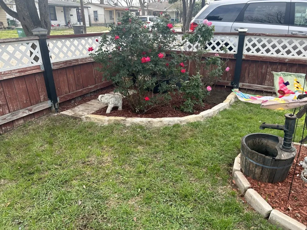 Top-rated yard cleanup service experts serving San Antonio, TX - Design Matters & Lawn Creations