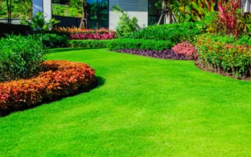 Trusted landscape design experts serving Baton Rouge, LA - Design My Flowerbed