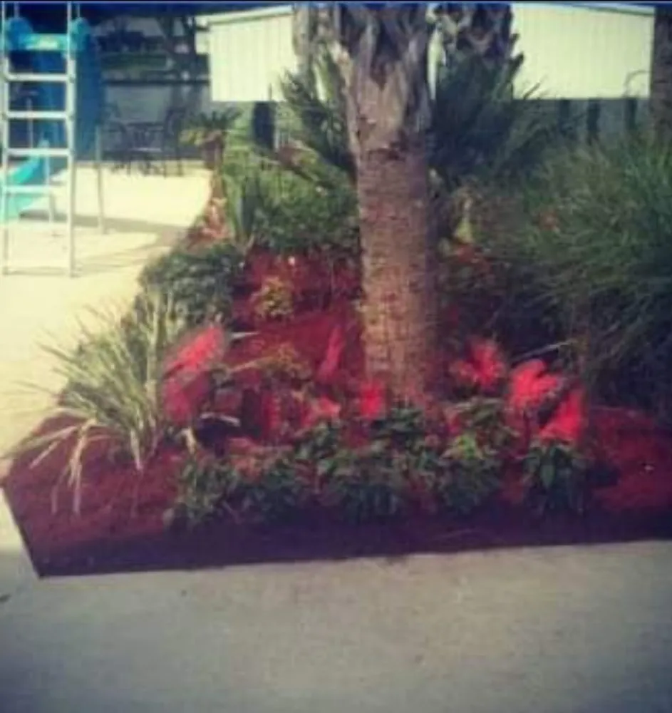 Trusted residential landscaping for year-round maintenance in Baton Rouge, LA by Design My Flowerbed