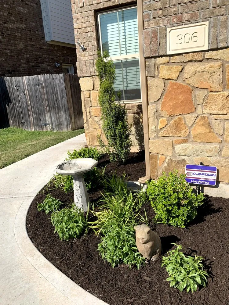 Top-rated lawn care service in Round Rock, TX by Design My Yard