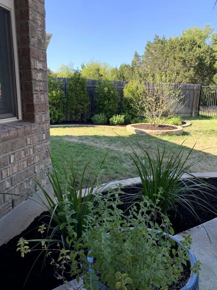 Professional yard cleanup service with custom design across Round Rock, TX - Design My Yard