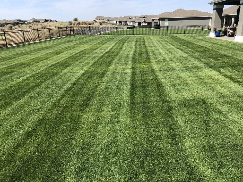 Trusted outdoor landscaping experts serving Kennewick, WA - Design Professional Lawn Care