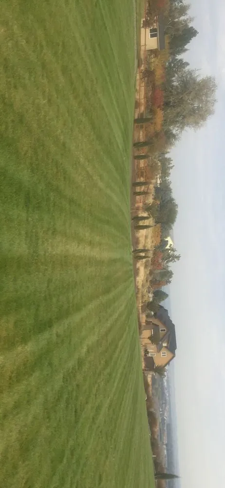 Affordable yard cleanup service for beautiful yards in Kennewick, WA by Design Professional Lawn Care