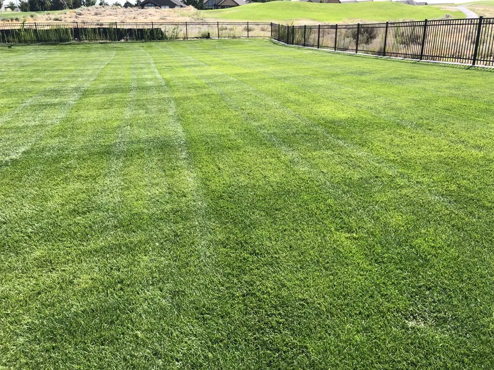 Custom residential landscaping in Kennewick, WA - Design Professional Lawn Care