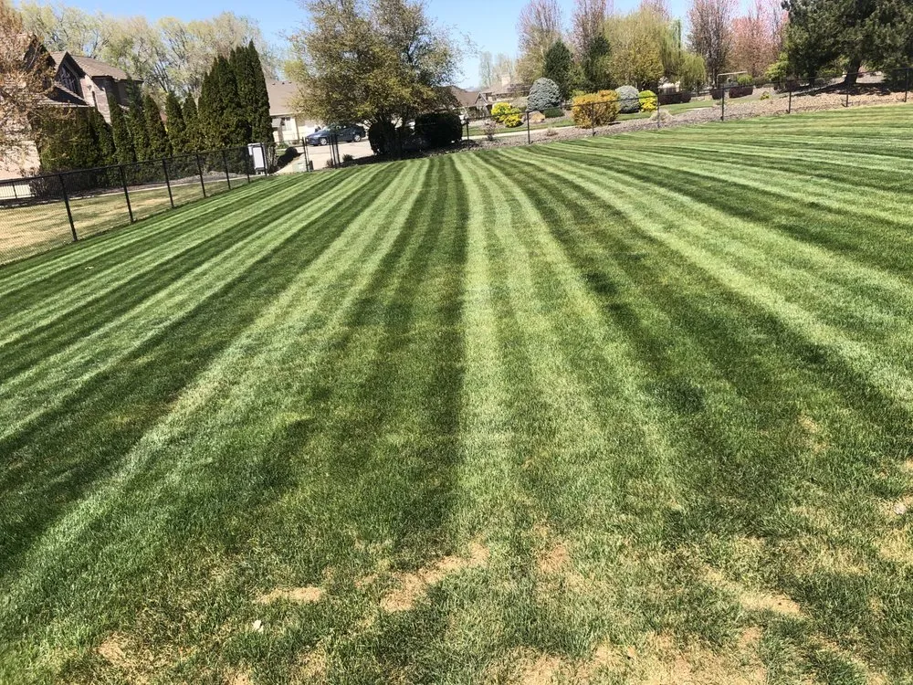 Local lawn care service experts serving Kennewick, WA - Design Professional Lawn Care