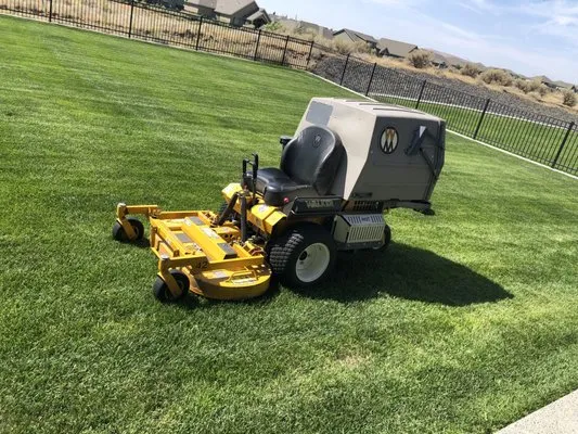 Design Professional Lawn Care Logo