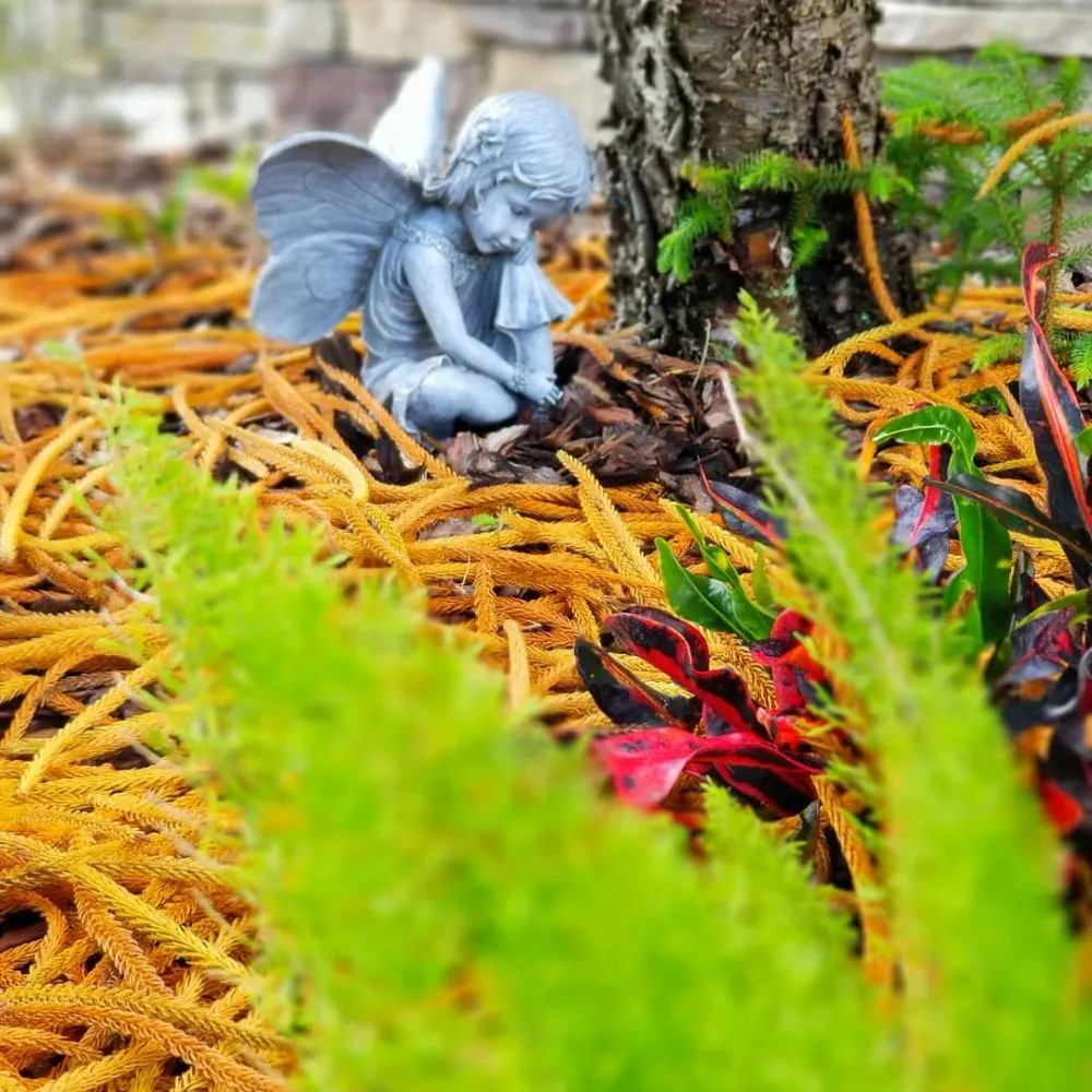 Affordable landscaping services experts serving Lutz, FL - Design Scapes by Robert Draper