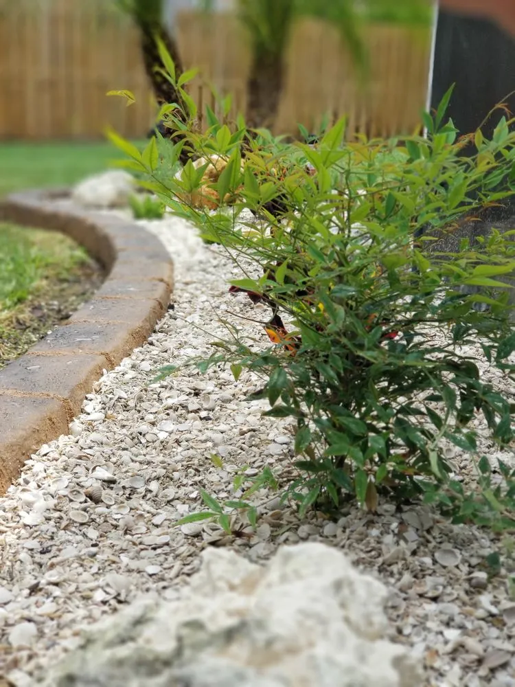 Custom yard maintenance for year-round maintenance across Lutz, FL - Design Scapes by Robert Draper