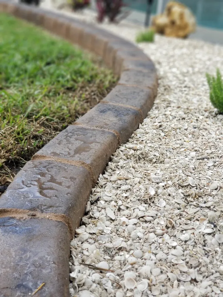 Reliable yard maintenance for year-round maintenance across Lutz, FL - Design Scapes by Robert Draper