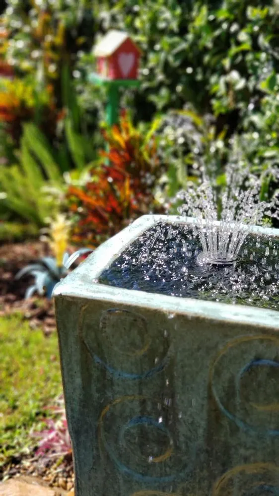 Custom lawn care service for year-round maintenance in Lutz, FL by Design Scapes by Robert Draper